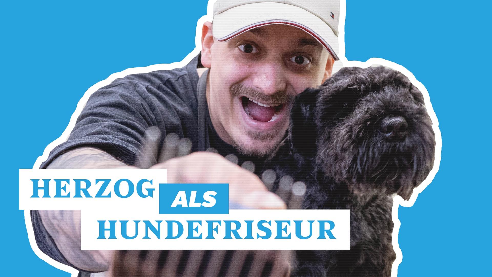 Herzog arbeitet als Hundefriseur - 9 TO 5