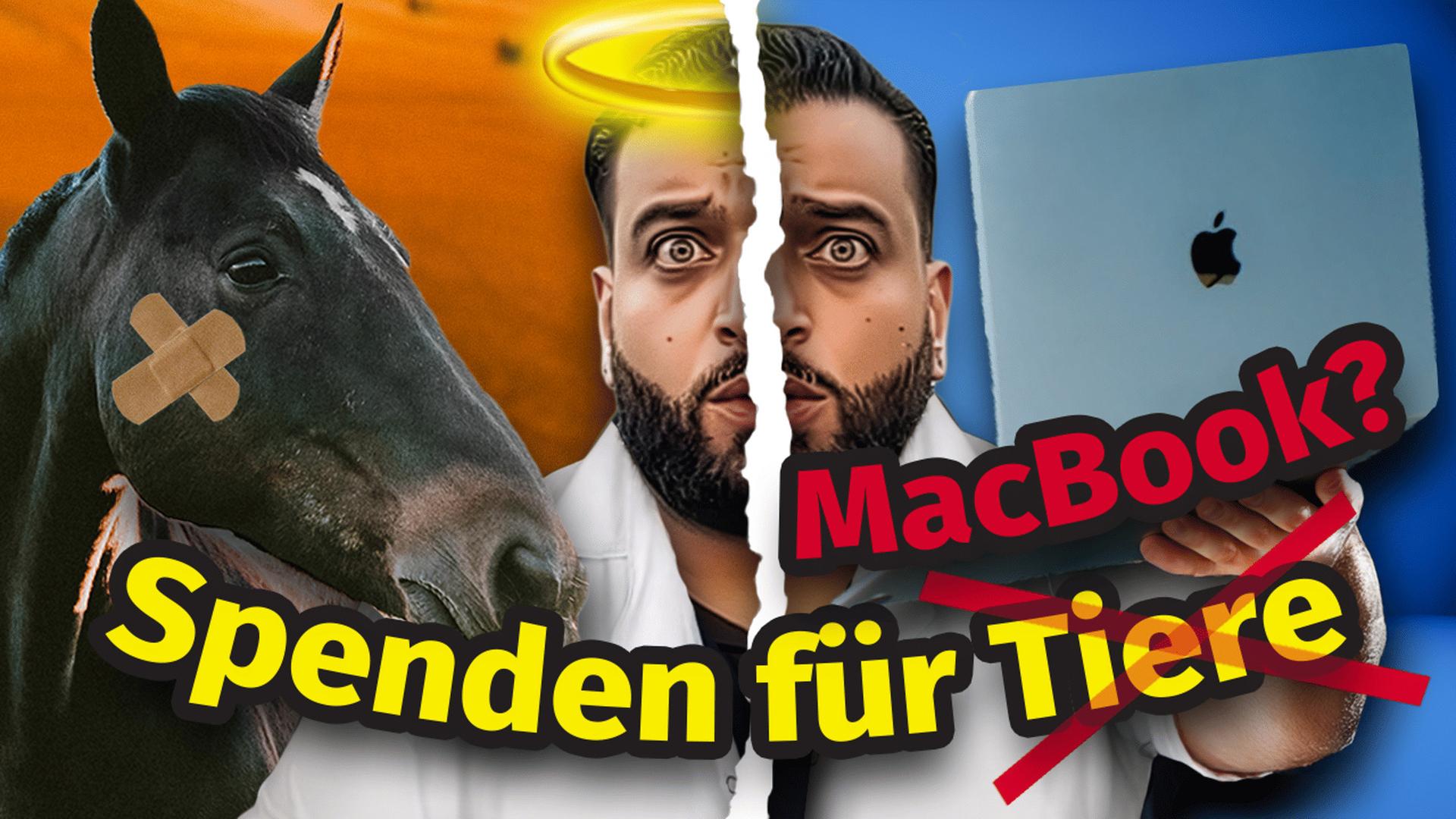 Hier landen 100k Spenden an Tierretter Ali Safari: Wir haben ein Statement! 