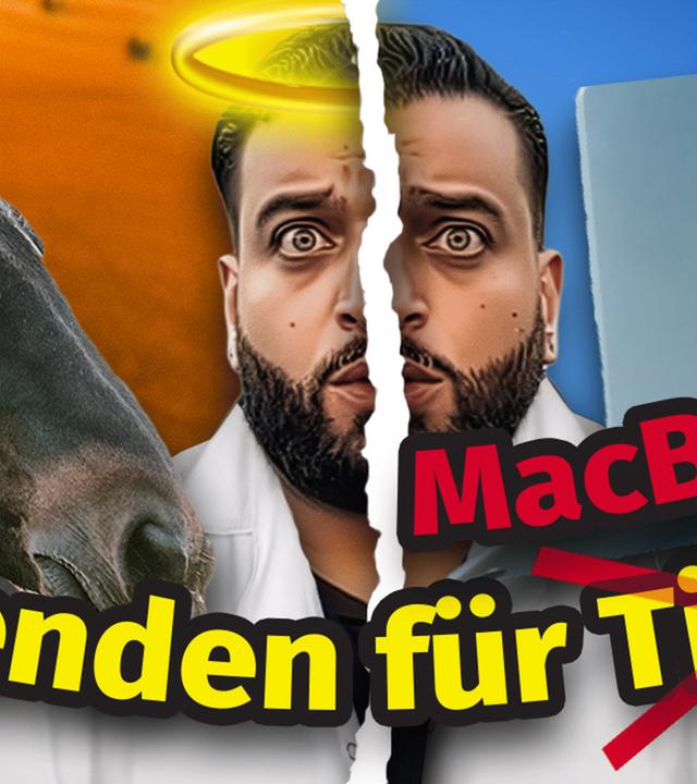 Hier landen 100k Spenden an Tierretter Ali Safari: Wir haben ein Statement! 