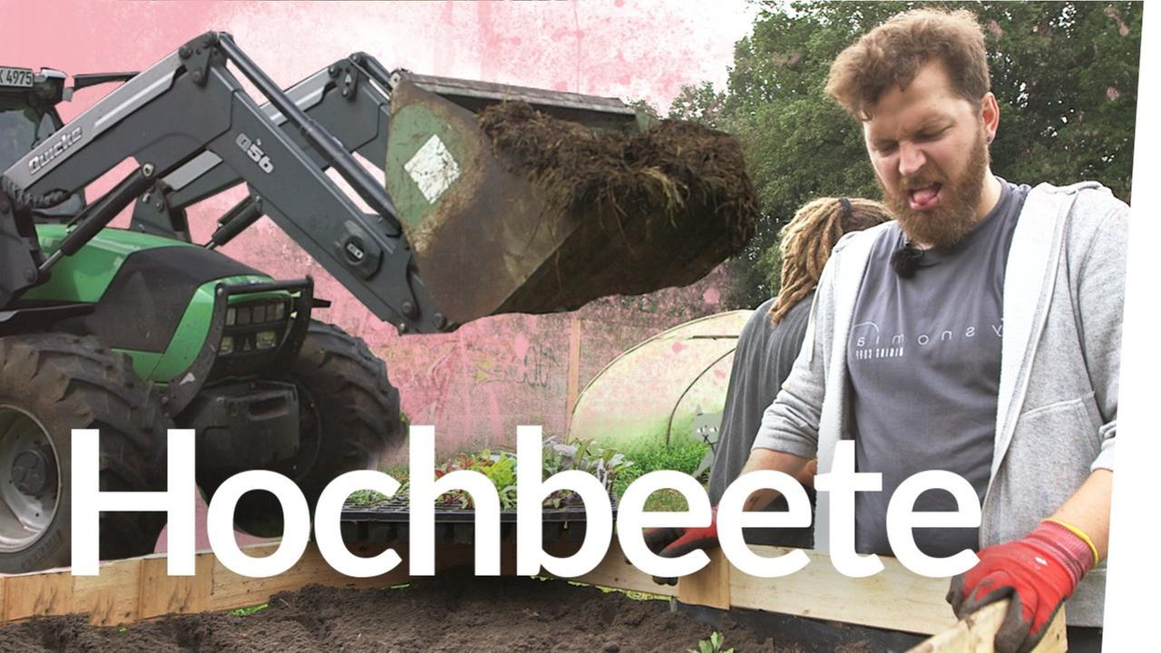 Hochbeete bauen mit Jonas, Waldo und Hauke - Kliemannsland