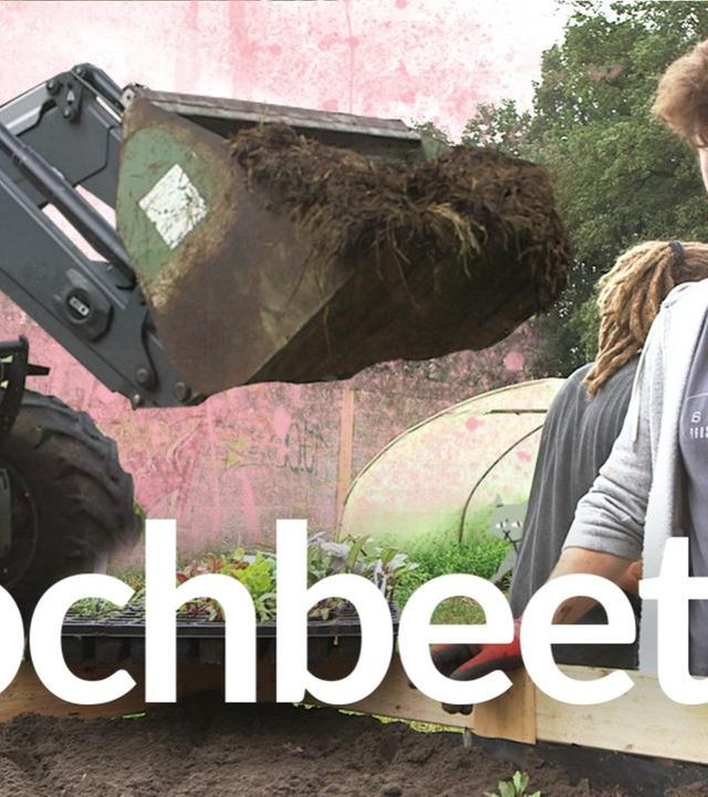 Hochbeete bauen mit Jonas, Waldo und Hauke - Kliemannsland