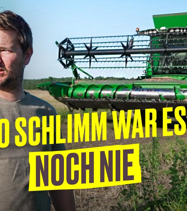 Horror Ernte 2023: NUR Verlust durch Dürre und Starkregen (Farm Vlog) I Hundert Hektar Heimat