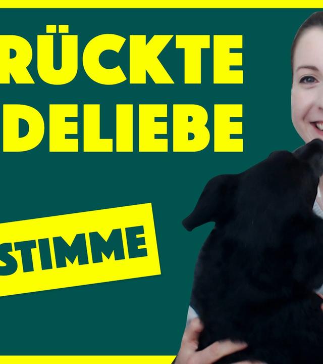 Hunde helfen auch in Krisen - BUBBLES Real-Talk mit Kopfstimme
