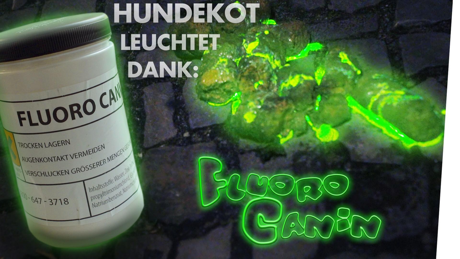 Hundekot leuchtet mit Fluoro Canin.