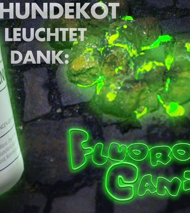 Hundekot leuchtet mit Fluoro Canin.