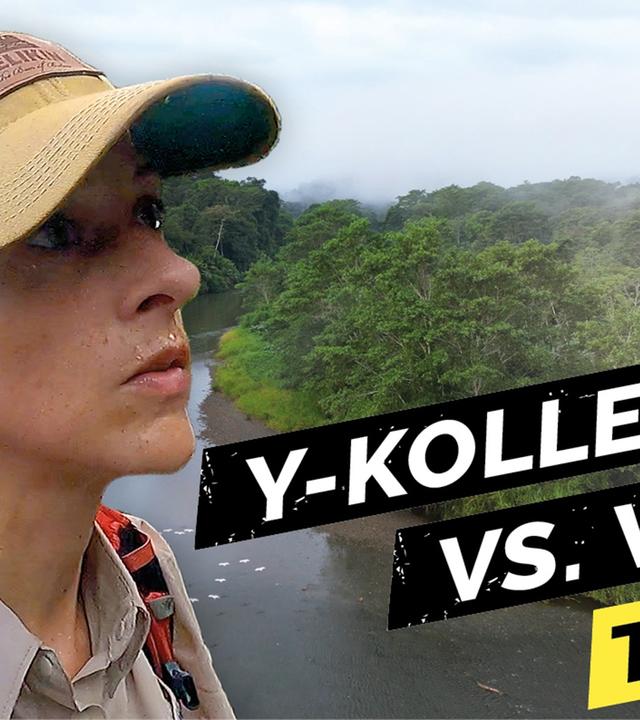 Hype um Survival-Touren: im gefährlichsten Dschungel der Welt - Teil 2 - Y-Kollektiv