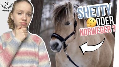 Ich errate Pferderassen - extrem schwer !!