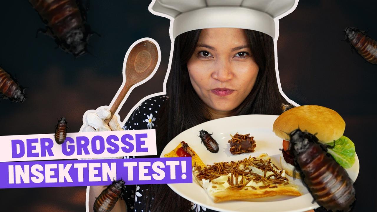 Ich lasse Insekten testen (war teuer)