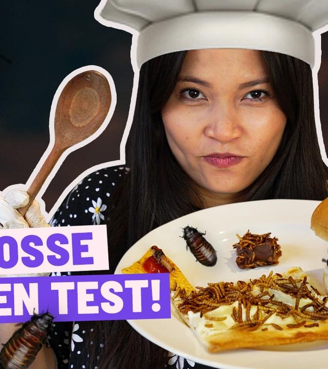 Ich lasse Insekten testen (war teuer)