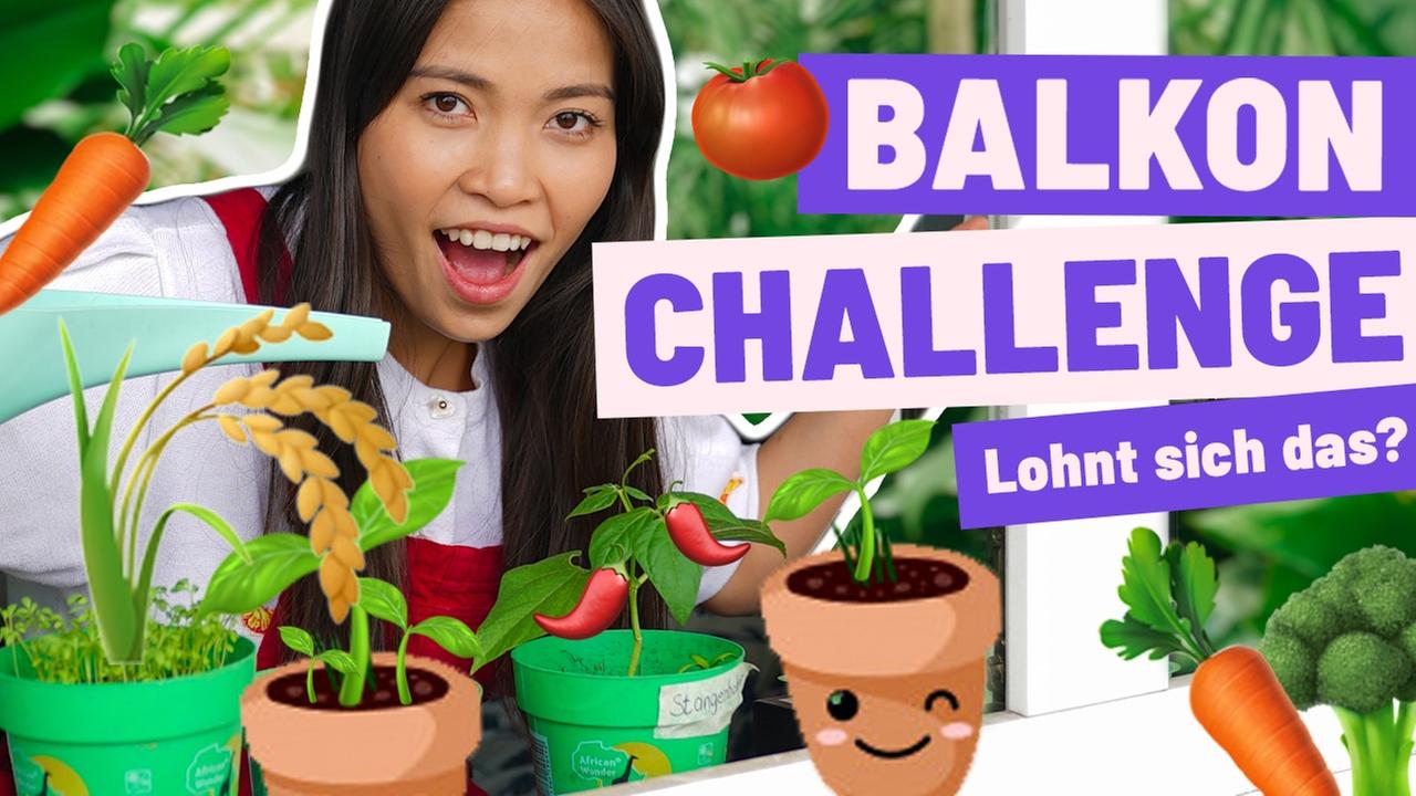 Ich mache jetzt mein eigenes Gemüse ??‍?(Challenge)