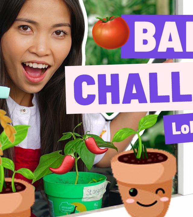 Ich mache jetzt mein eigenes Gemüse ??‍?(Challenge)