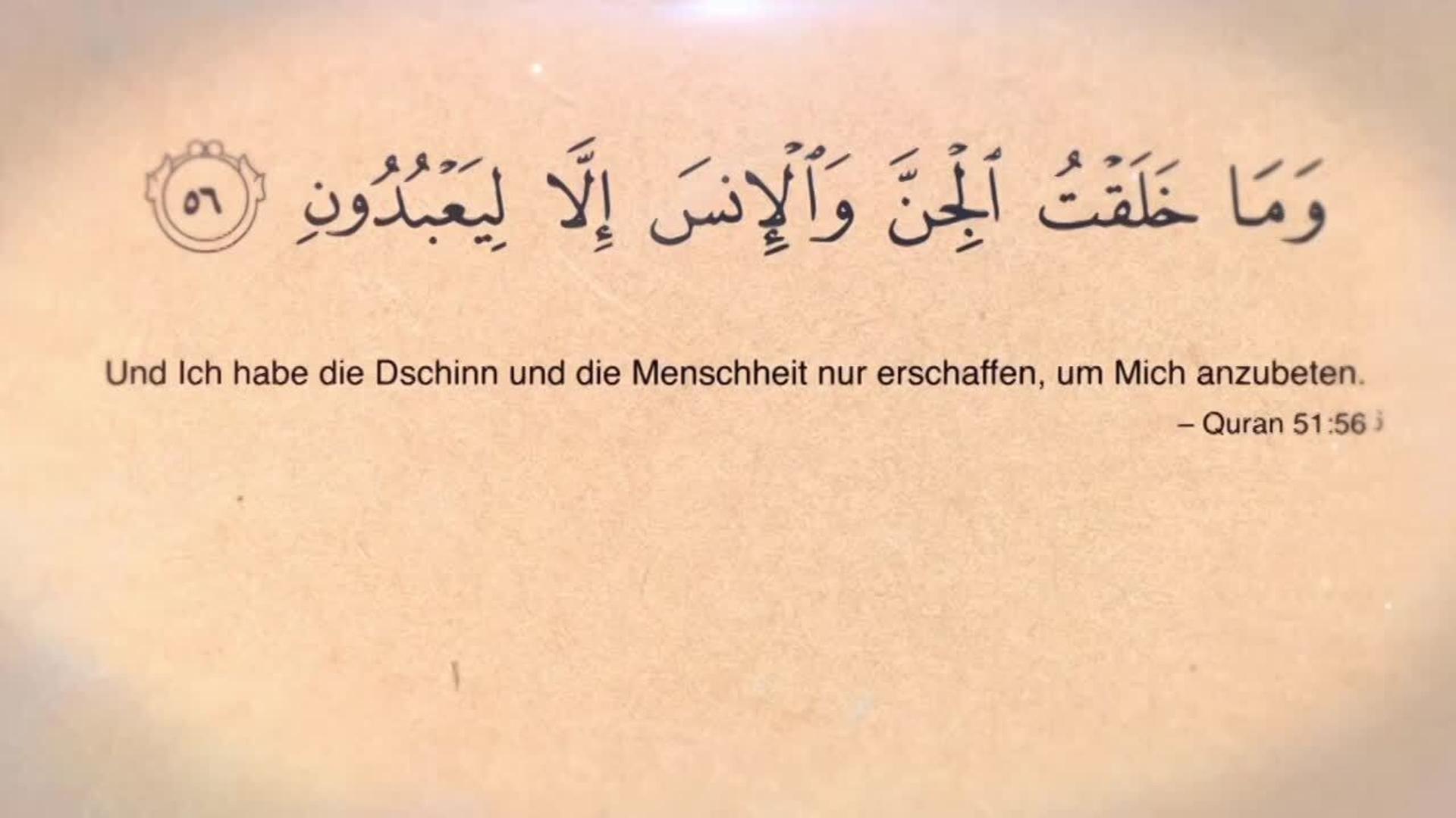 Im neuen Datteltäter Podcast „Migranten der Tafelrunde“ besprechen wir heute das Thema DSCHINN. Gruselige Dschinn-Geschichten gehören zur Sozialisation von Muslim:innen dazu, wie die Baumkunde bei Almans.