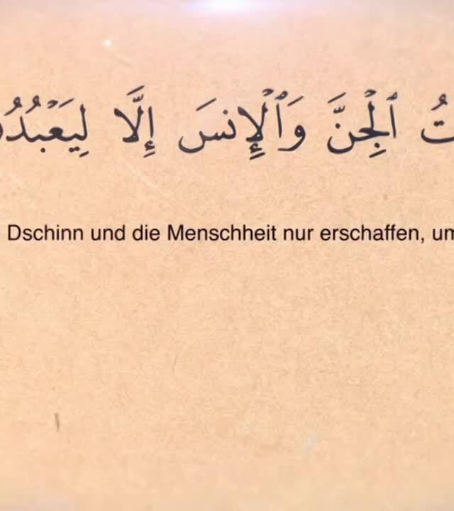 Im neuen Datteltäter Podcast „Migranten der Tafelrunde“ besprechen wir heute das Thema DSCHINN. Gruselige Dschinn-Geschichten gehören zur Sozialisation von Muslim:innen dazu, wie die Baumkunde bei Almans.