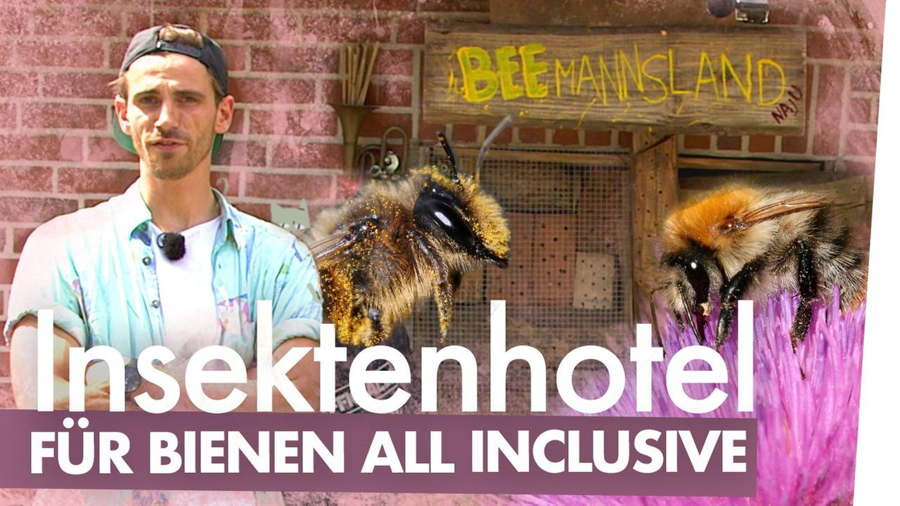 Insektenhotel bauen – Nist- und Überwinterungshilfe für Wildbienen - Kliemannsland