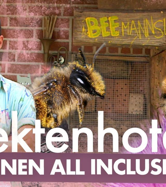 Insektenhotel bauen – Nist- und Überwinterungshilfe für Wildbienen - Kliemannsland