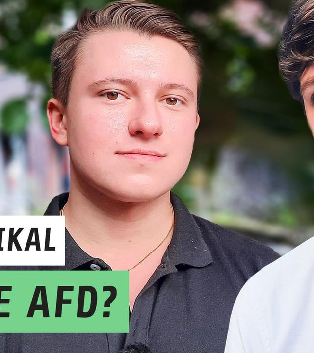 Inside AfD: Ex-Mitglied packt aus