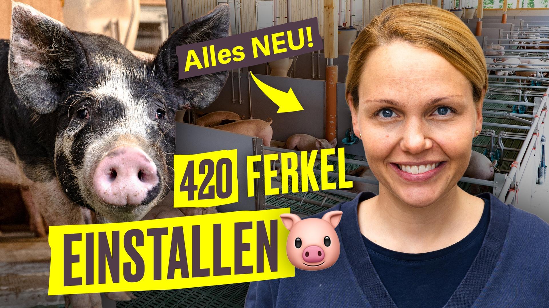 Ist das DER Stall der Zukunft? Gesas Schweine ziehen ein I Hundert Hektar Heimat