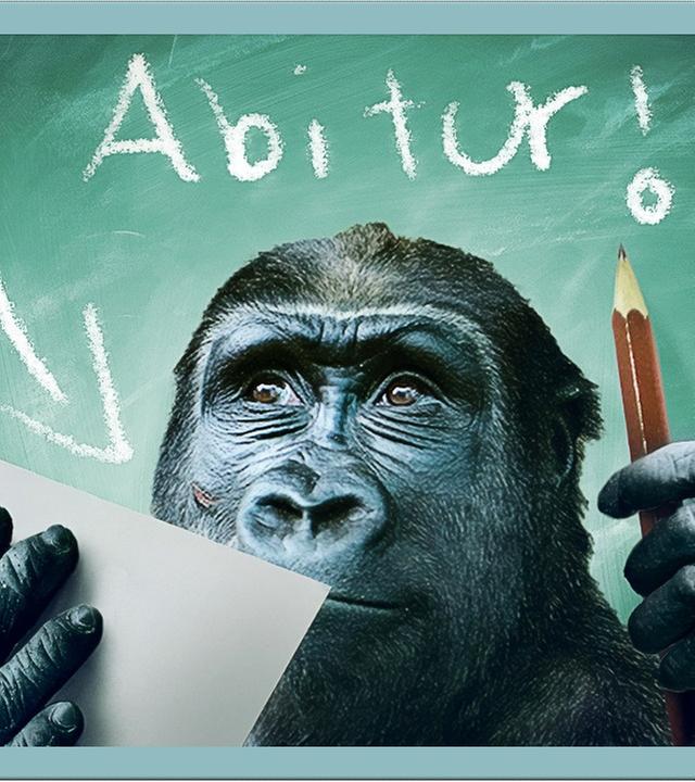 Ist man ohne Abitur dumm?