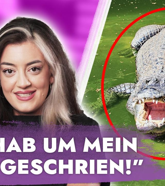 Jalil vs. Alligator – Wahre Story?