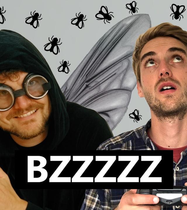 Jede FLIEGE immer - Phil Laude