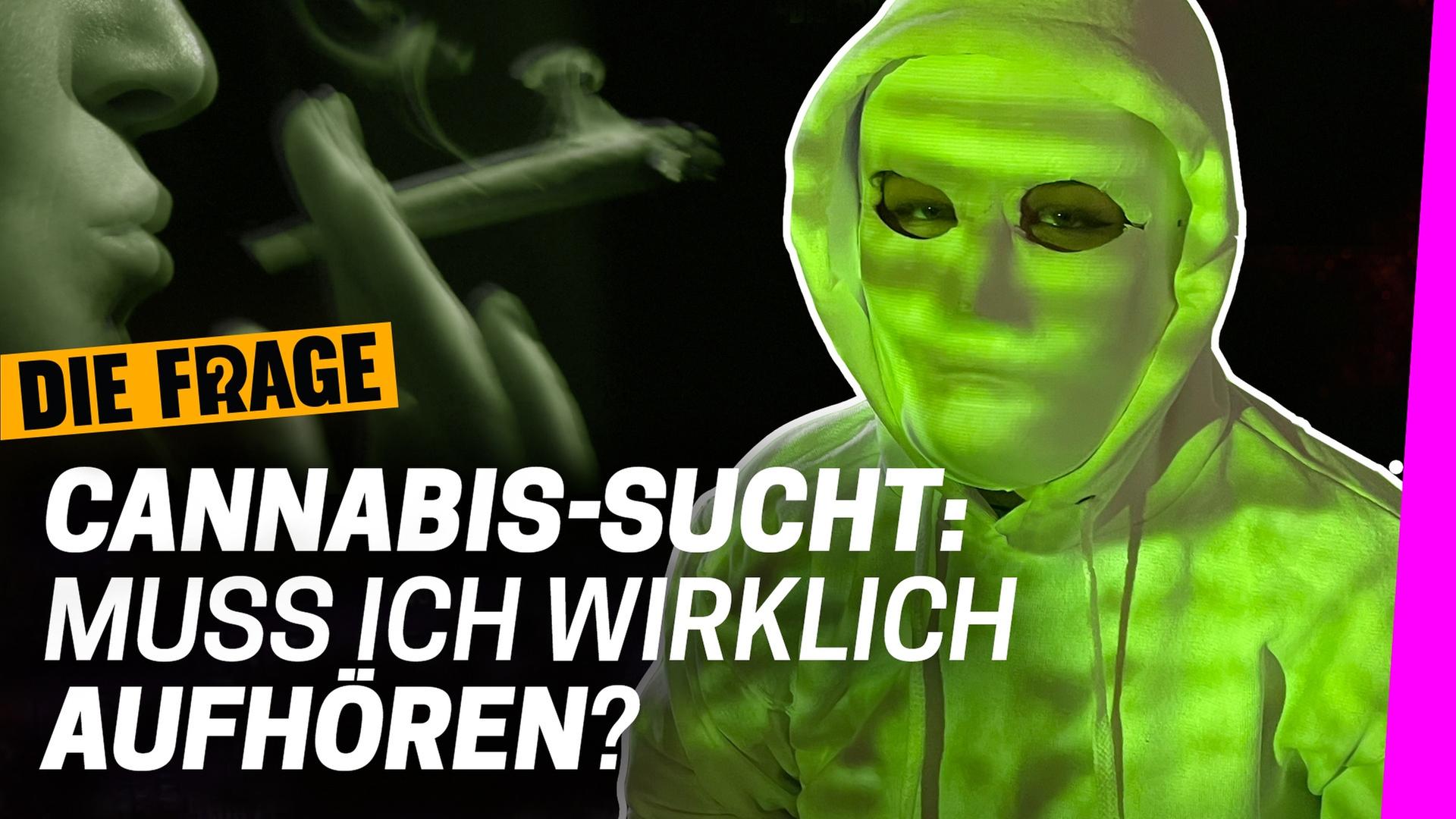 Jeden Tag Cannabis: Macht Kiffen auf Dauer weniger intelligent? I Frage-Special