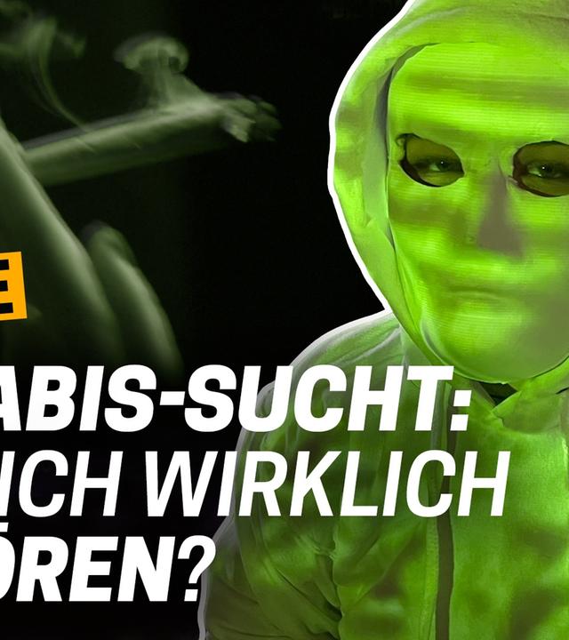 Jeden Tag Cannabis: Macht Kiffen auf Dauer weniger intelligent? I Frage-Special