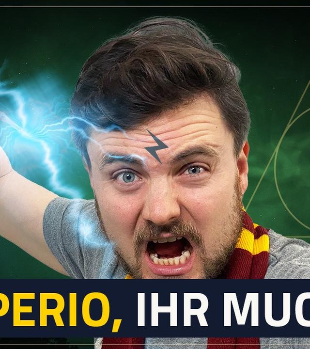 Jeder HARRY POTTER FAN immer