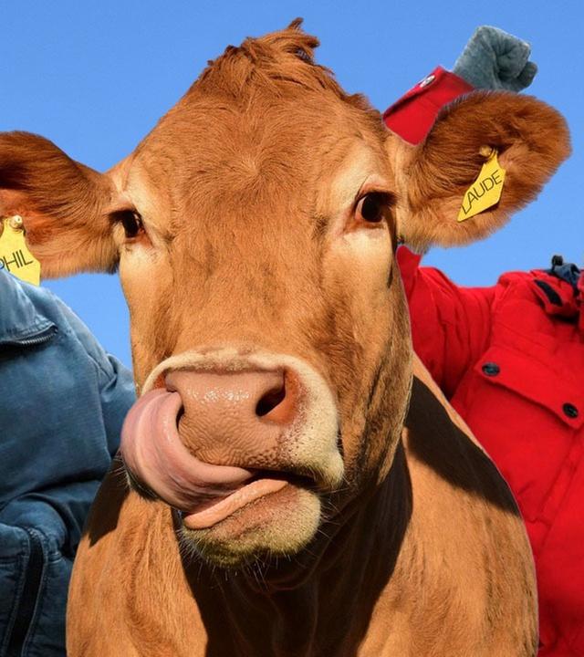 Jedes DORFKIND immer - Phil Laude