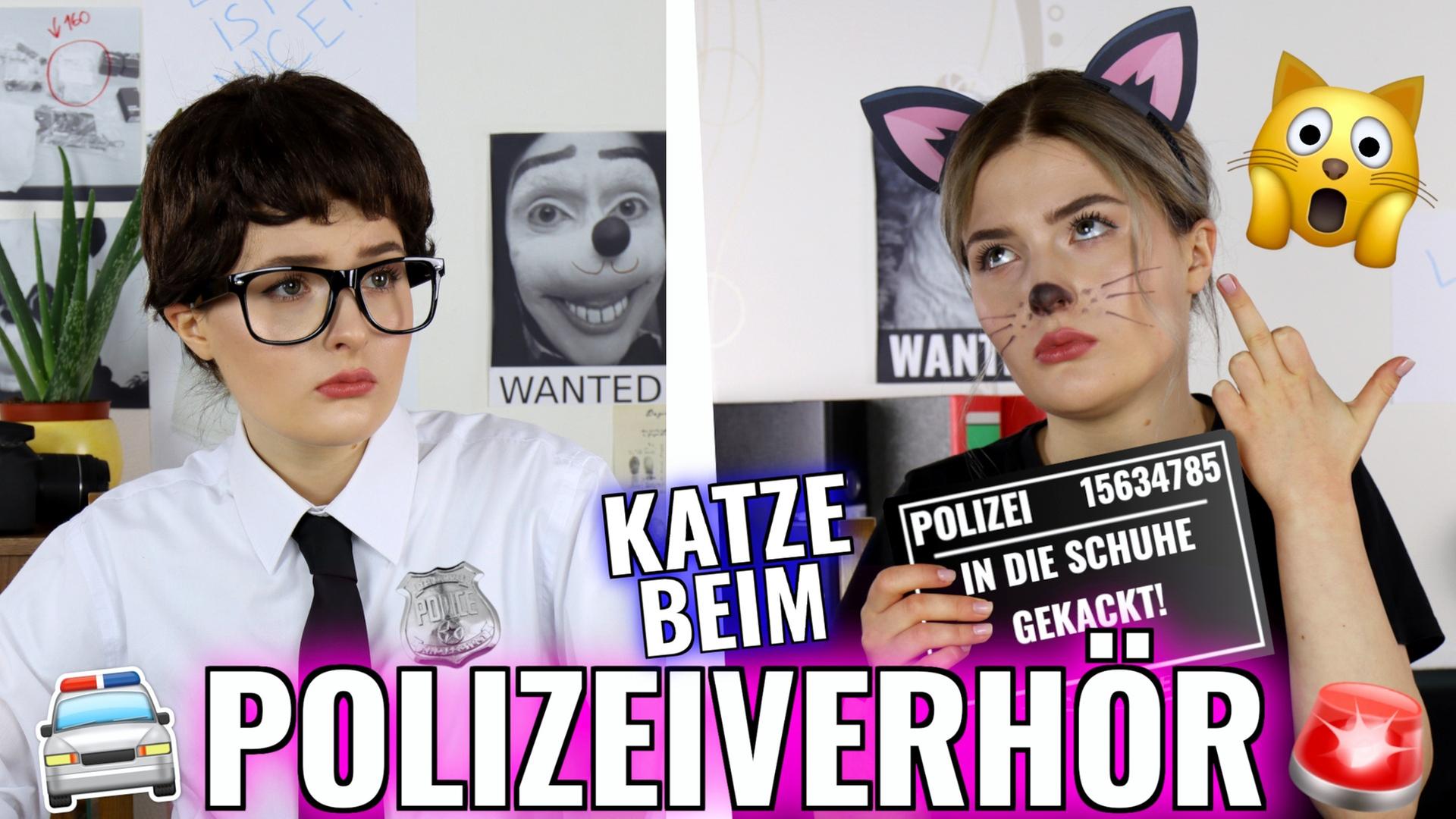 Katze beim Polizeiverhör.