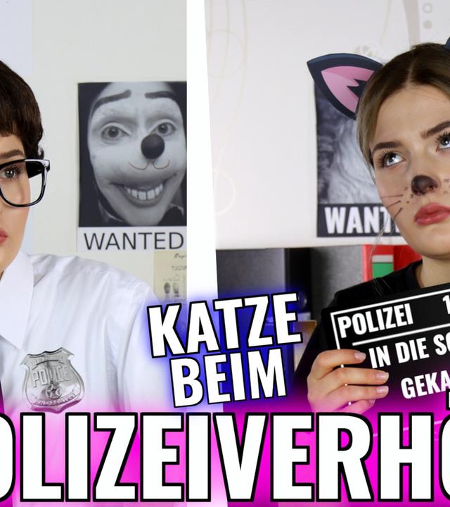 Katze beim Polizeiverhör.
