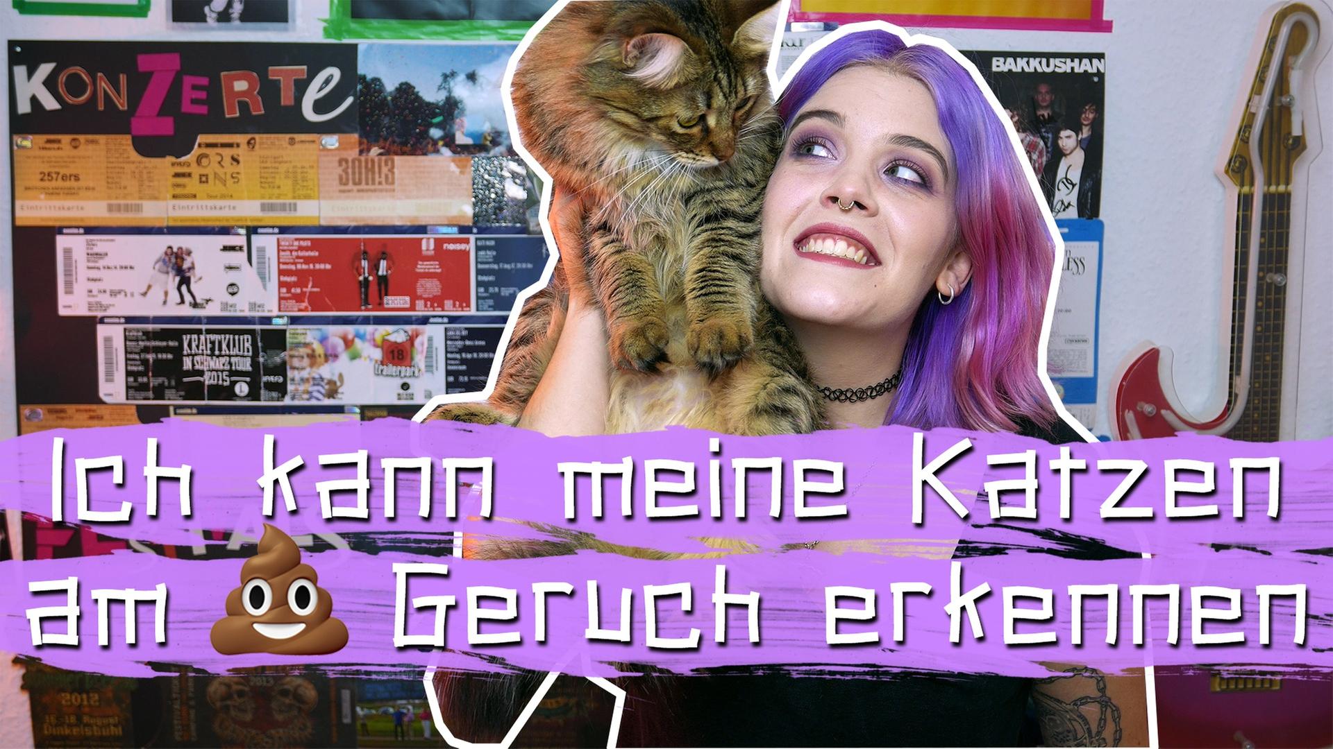 Katzenbesitzer:innen sind seltsam! 10 Situationen, die dafür sprechen ? -- Schruppert