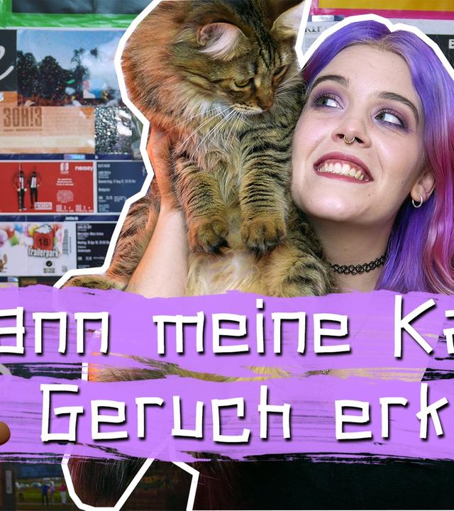 Katzenbesitzer:innen sind seltsam! 10 Situationen, die dafür sprechen ? -- Schruppert