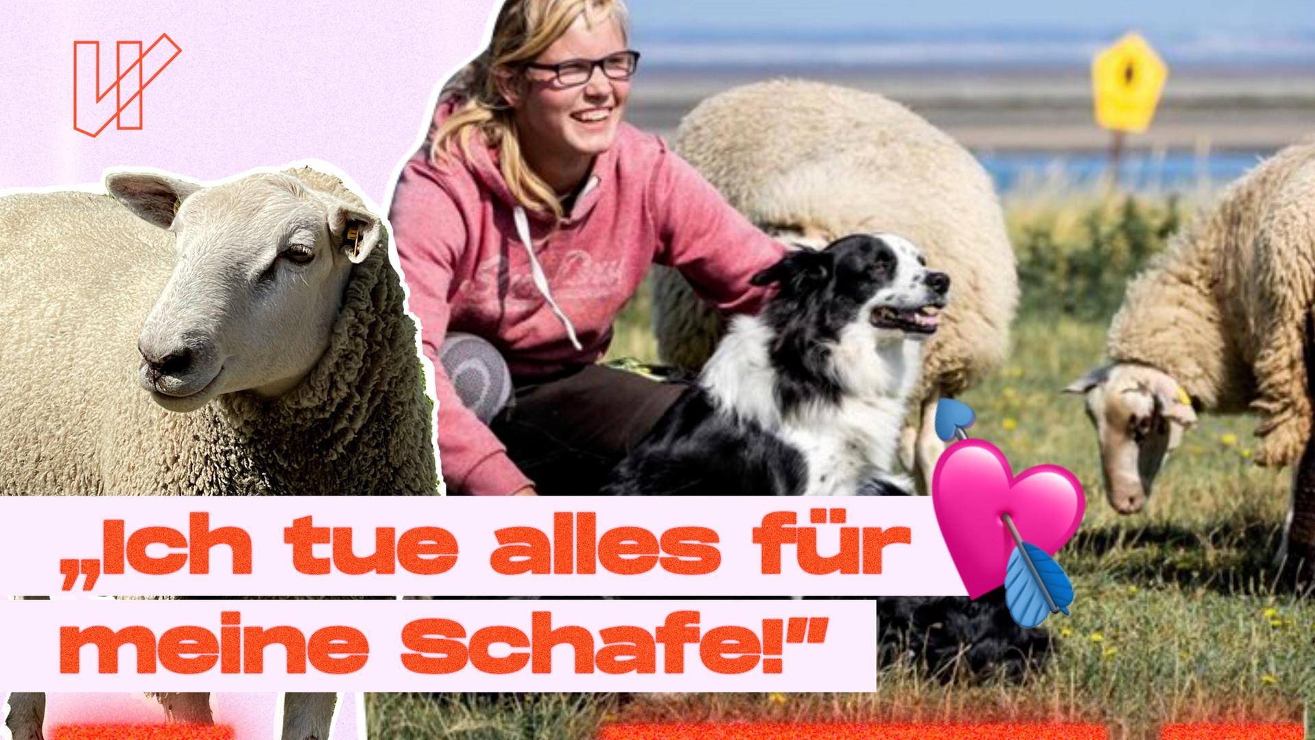 Knochenjob mit Leidenschaft - der Alltag einer Schäferin