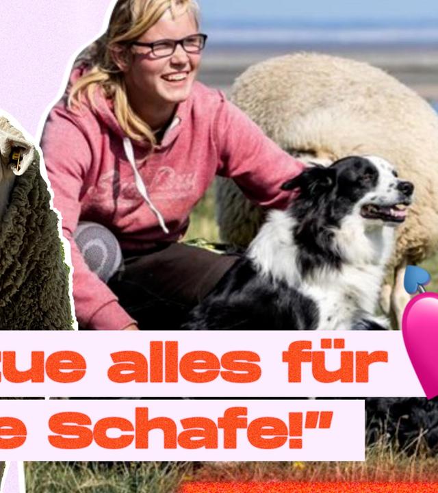 Knochenjob mit Leidenschaft - der Alltag einer Schäferin