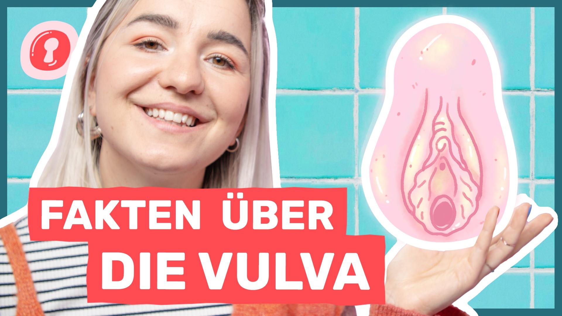 Können Vulven steif werden? 5 Vulva Fakten, die dich umhauen!Auf Klo
