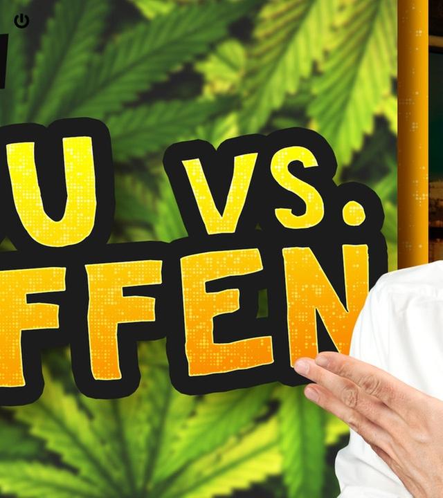 Kommt jetzt die Cannabis-Wende? Drogenreport 2019 - WALULIS DAILY