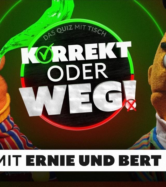 KORREKT oder WEG! (mit ERNIE UND BERT)