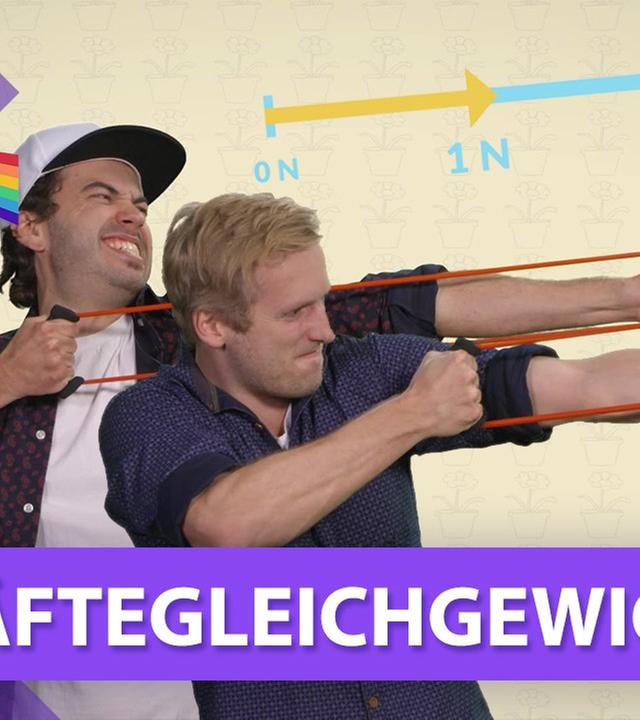 Kräftegleichgewicht - Physik musstewissen