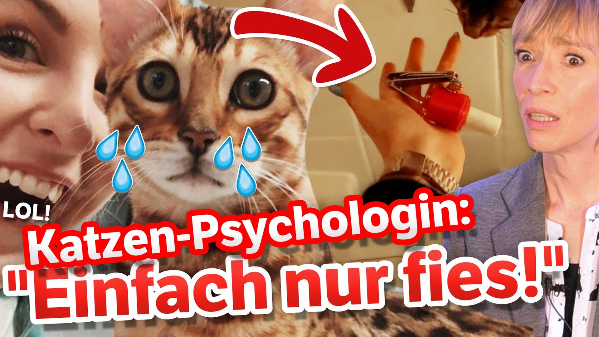 KRALLEN LACKIEREN für Klicks?! Katzenpsychologin reagiert auf Bonnytrash!