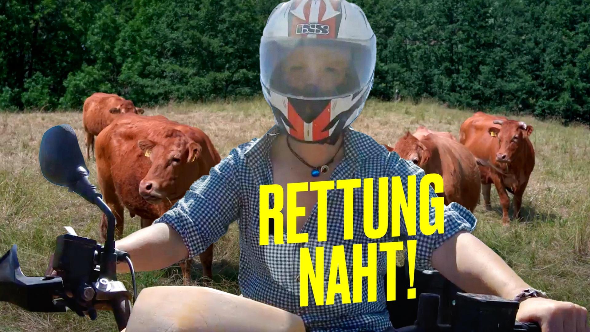 Krank - wer füttert jetzt die Tiere? Landwirtin Josi springt ein! - Hundert Hektar Heimat