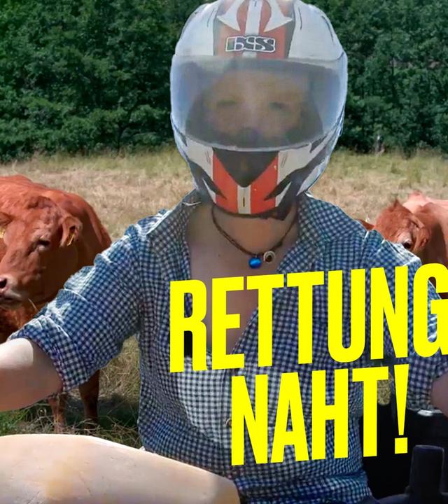 Krank - wer füttert jetzt die Tiere? Landwirtin Josi springt ein! - Hundert Hektar Heimat