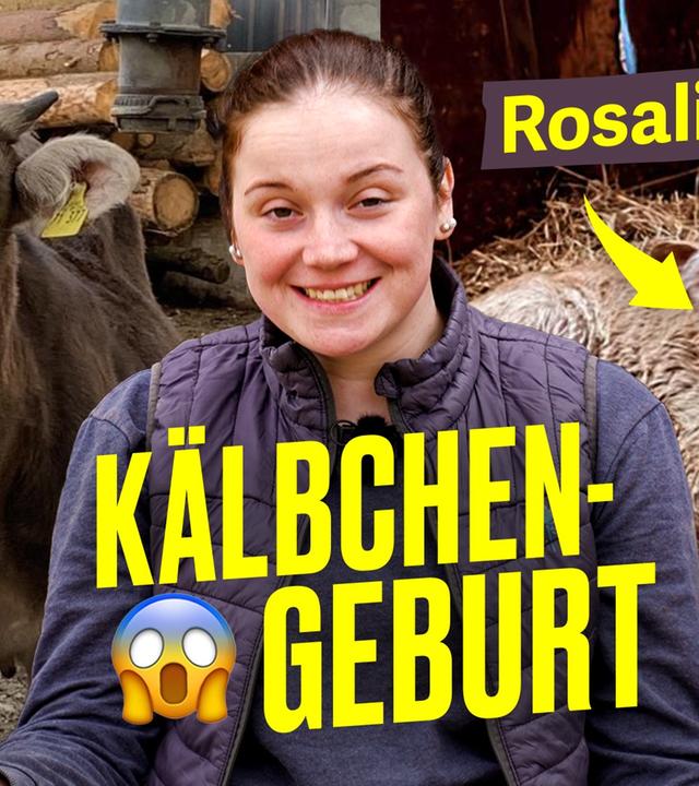Kuh wird Mama: Kälbchengeburt auf Ronjas Hof (Farm Vlog) I Hundert Hektar Heimat
