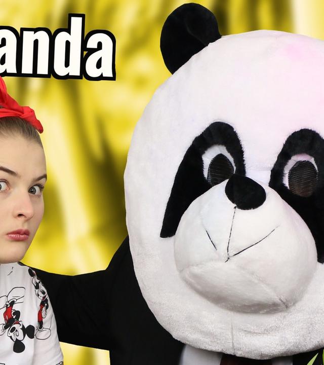 Kurz Gesagt, ein PANDA als Haustier