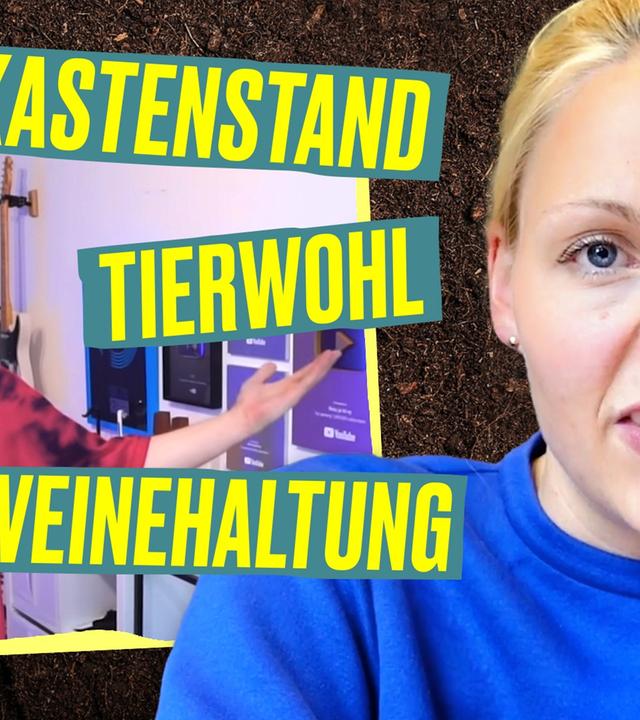 LANDWIRTIN reagiert auf REZO Zerstörung I Hundert Hektar Heimat