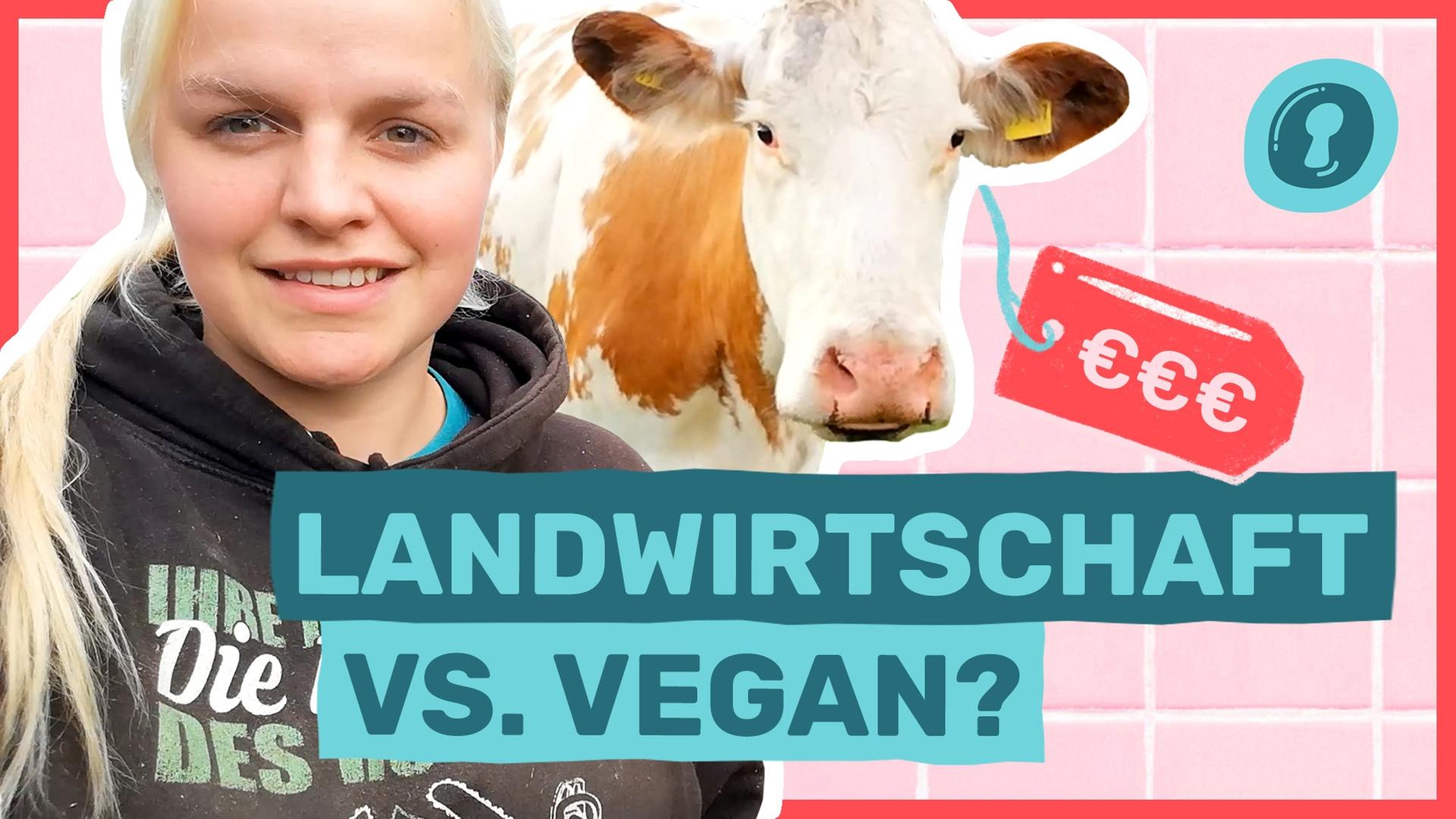 Landwirtschaft: So denkt eine Landwirtin über Massentierhaltung - Auf Klo