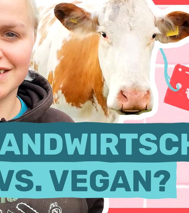 Landwirtschaft: So denkt eine Landwirtin über Massentierhaltung - Auf Klo