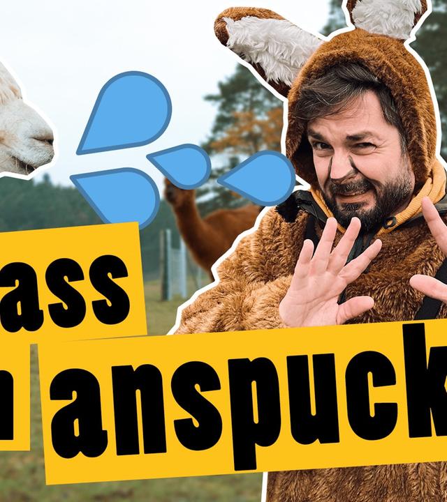 Lass dich vom Alpaka anspucken -- Das schaffst du nie!