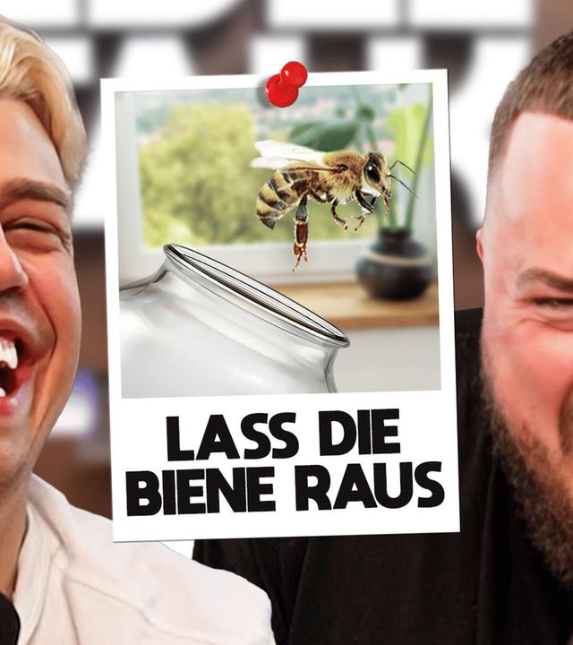 Lass die Biene raus! (#411)