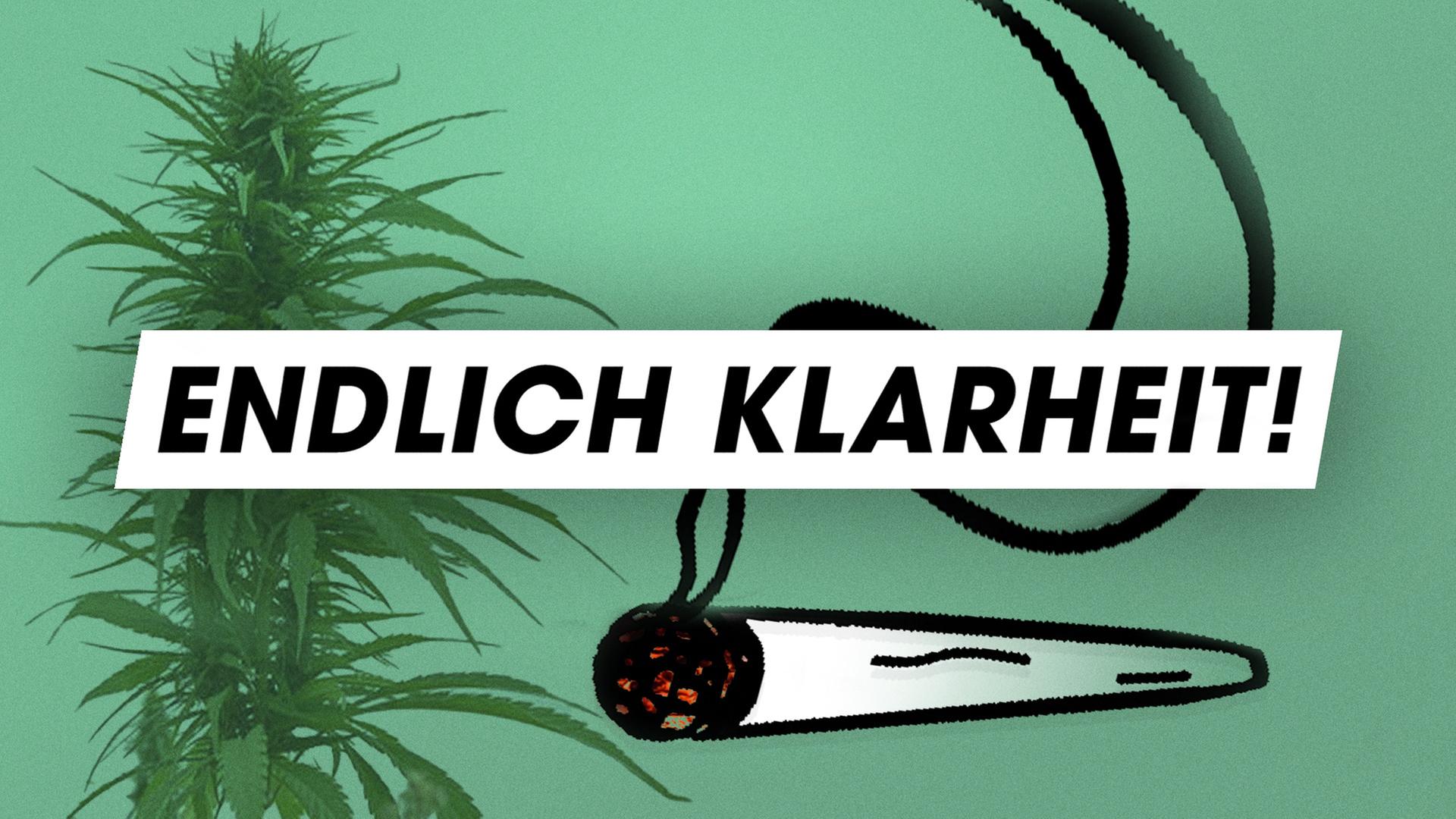 Legalisierung: Der letzte große Streit?