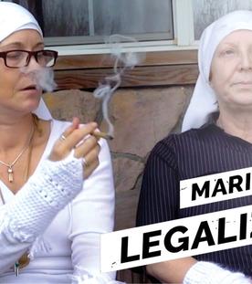 Legalize it - das Marihuana-Business
